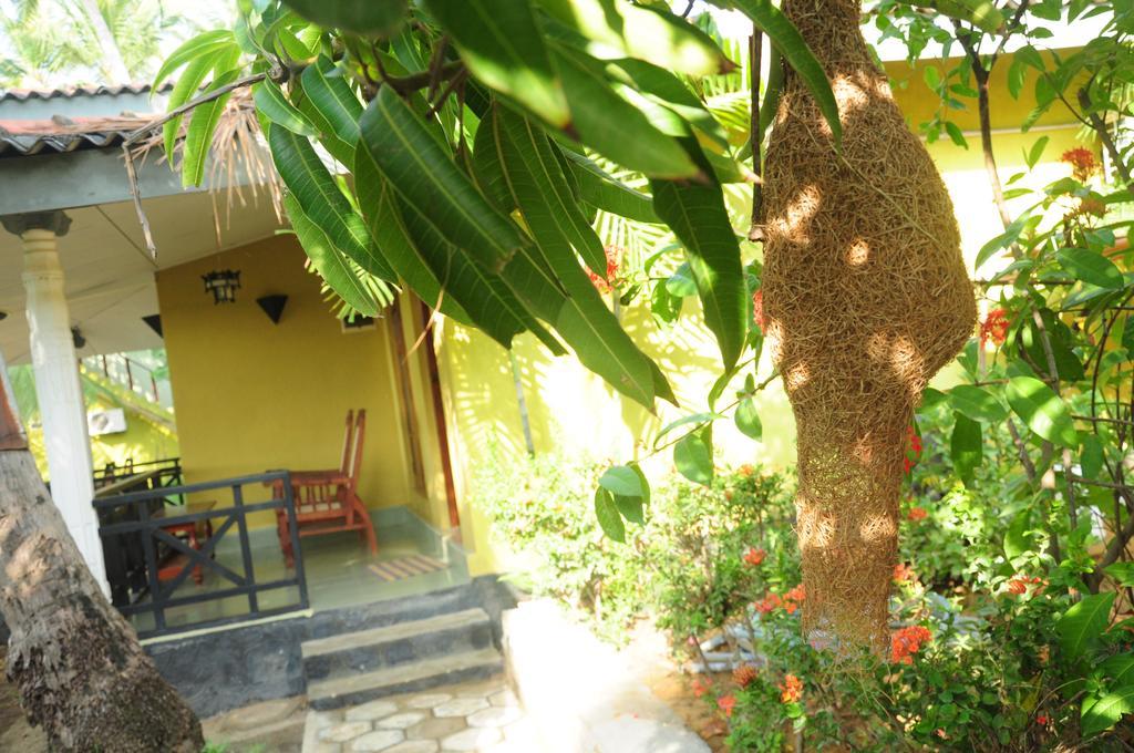 Traveller'S Home Hotel Tissamaharama Dış mekan fotoğraf